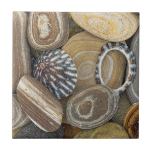 USA, Washington, Seabeck. Nahaufnahme des Strandes Fliese