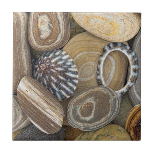 USA, Washington, Seabeck. Naher Strand Fliese (Vorderseite)