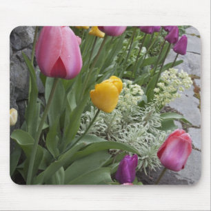 USA, Washington, Seabeck. Tulpen säumen den Garten Mousepad
