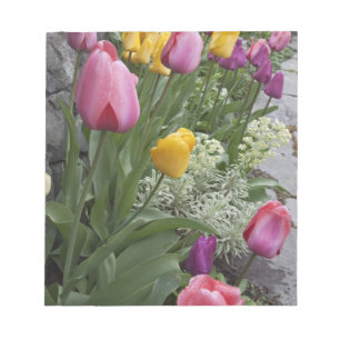 USA, Washington, Seabeck. Tulpen säumen den Garten Notizblock