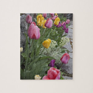 USA, Washington, Seabeck. Tulpen säumen den Garten Puzzle