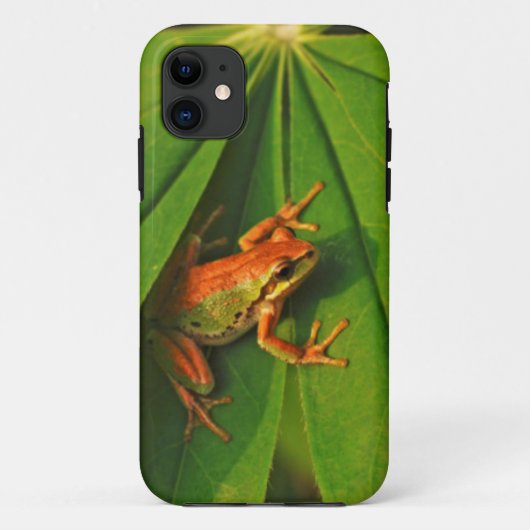USA, Washington, Seattle, Discovery Park 2 Case-Mate iPhone Hülle (Rückseite)