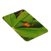 USA, Washington, Seattle, Discovery Park 2 Magnet (Rechte Seite)