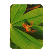 USA, Washington, Seattle, Discovery Park 2 Magnet (Vertikal)