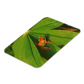 USA, Washington, Seattle, Discovery Park 2 Magnet (Linke Seite)