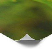 USA, Washington, Seattle, Discovery Park 2 Poster (Ecke)