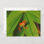 USA, Washington, Seattle, Discovery Park 2 Postkarte (Vorne/Hinten)