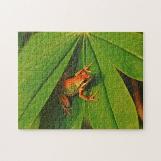 USA, Washington, Seattle, Discovery Park 2 Puzzle (Horizontal)