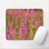 USA, Washington, Seattle, Discovery Park 3 Mousepad (Mit Mouse)