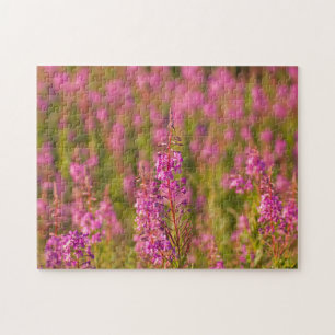 USA, Washington, Seattle, Discovery Park 3 Puzzle