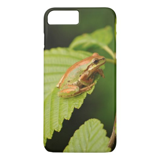 USA, Washington, Seattle, Discovery Park Case-Mate iPhone Hülle (Rückseite)