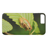 USA, Washington, Seattle, Discovery Park Case-Mate iPhone Hülle (Rückseite (Horizontal))