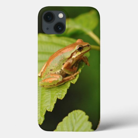 USA, Washington, Seattle, Discovery Park Case-Mate iPhone Hülle (Rückseite)