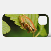 USA, Washington, Seattle, Discovery Park Case-Mate iPhone Hülle (Rückseite (Horizontal))