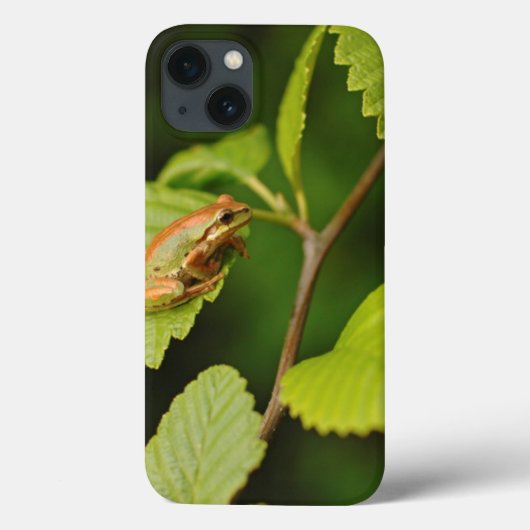 USA, Washington, Seattle, Discovery Park Case-Mate iPhone Hülle (Rückseite)