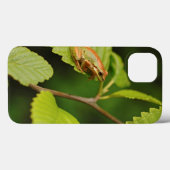 USA, Washington, Seattle, Discovery Park Case-Mate iPhone Hülle (Rückseite (Horizontal))