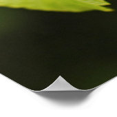 USA, Washington, Seattle, Discovery Park Poster (Ecke)