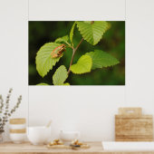 USA, Washington, Seattle, Discovery Park Poster (Küche)