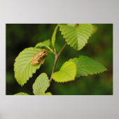 USA, Washington, Seattle, Discovery Park Poster (Vorne)