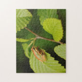 USA, Washington, Seattle, Discovery Park Puzzle (Vertikal)