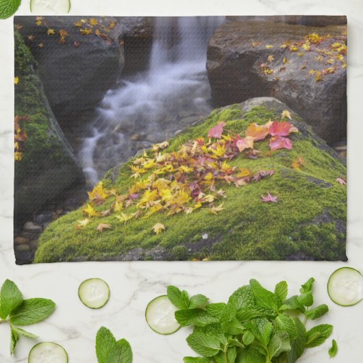 USA, Washington, Seattle Handtuch (Gefaltet)