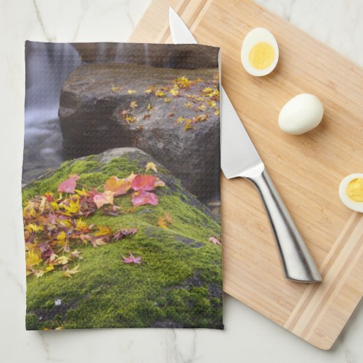 USA, Washington, Seattle Handtuch (Viertel Falte)