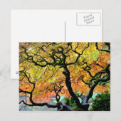 USA, Washington, Seattle, Kubota Garden. Postkarte (Vorne/Hinten)