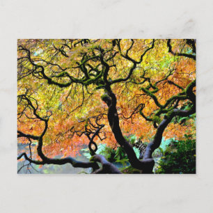 USA, Washington, Seattle, Kubota Garden. Postkarte