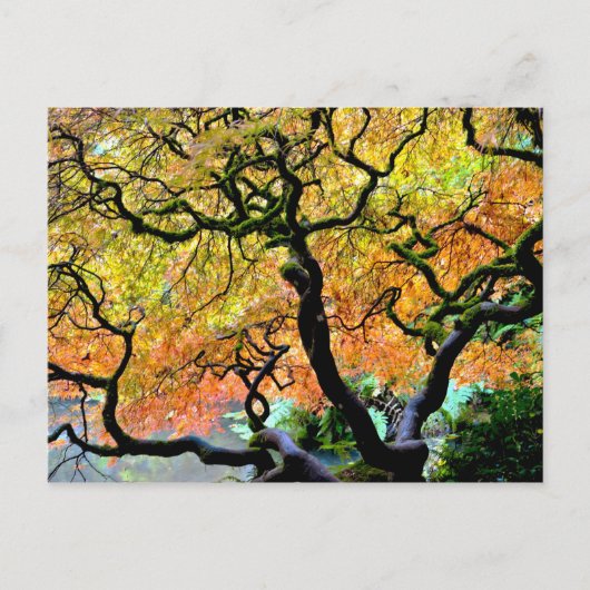 USA, Washington, Seattle, Kubota Garden. Postkarte (Vorderseite)