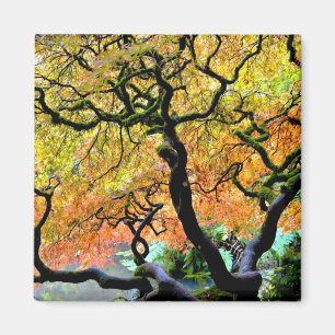 USA, Washington, Seattle, Kubota-Garten. Magnet