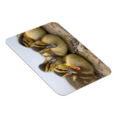 USA, Washington, Seattle, Lake Washington Magnet (Rechte Seite)