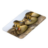USA, Washington, Seattle, Lake Washington Magnet (Linke Seite)