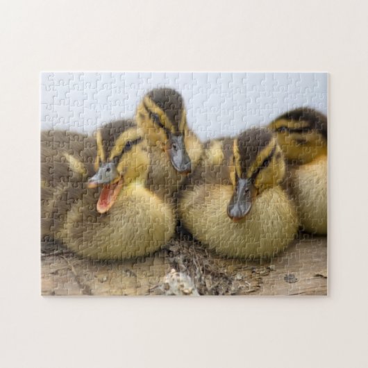 USA, Washington, Seattle, Lake Washington Puzzle (Horizontal)