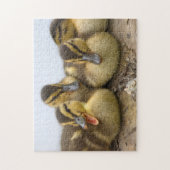 USA, Washington, Seattle, Lake Washington Puzzle (Vertikal)