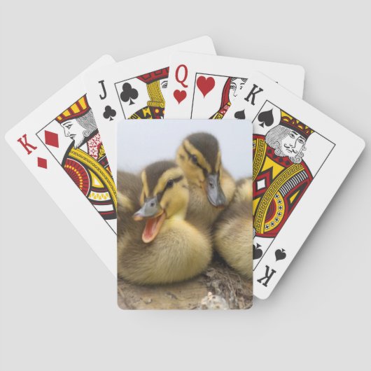 USA, Washington, Seattle, Lake Washington Spielkarten (Rückseite)