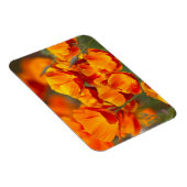 USA, Washington, Seattle Magnet (Rechte Seite)