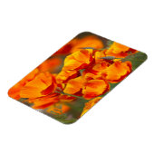 USA, Washington, Seattle Magnet (Linke Seite)