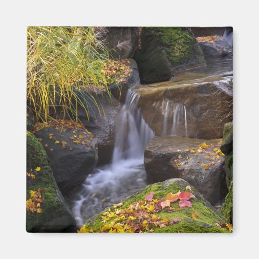 USA, Washington, Seattle Magnet (Vorne)