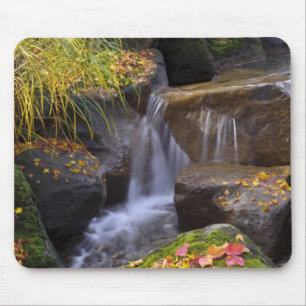 USA, Washington, Seattle Mousepad