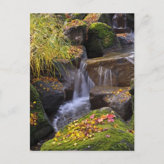 USA, Washington, Seattle Postkarte (Vorderseite)