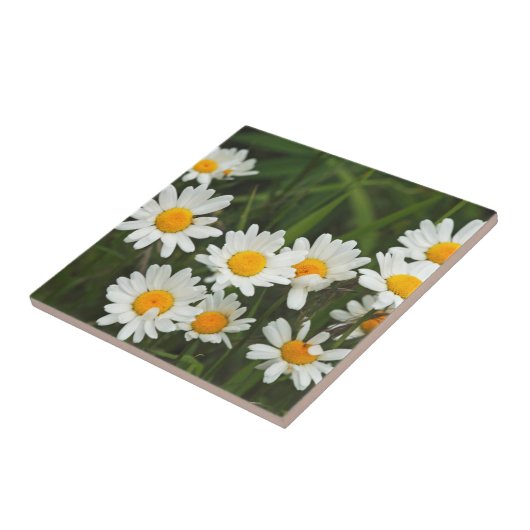 USA, Washington, Seattle, Puget Sound 3 Fliese (Seite)