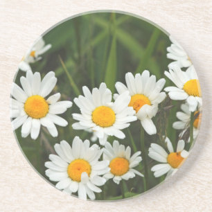 USA, Washington, Seattle, Puget Sound 3 Getränkeuntersetzer