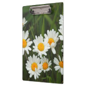 USA, Washington, Seattle, Puget Sound 3 Klemmbrett (Links)