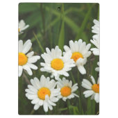 USA, Washington, Seattle, Puget Sound 3 Klemmbrett (Rückseite)