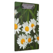 USA, Washington, Seattle, Puget Sound 3 Klemmbrett (Rechts)