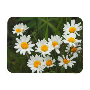 USA, Washington, Seattle, Puget Sound 3 Magnet