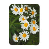 USA, Washington, Seattle, Puget Sound 3 Magnet (Vertikal)