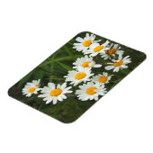 USA, Washington, Seattle, Puget Sound 3 Magnet (Linke Seite)