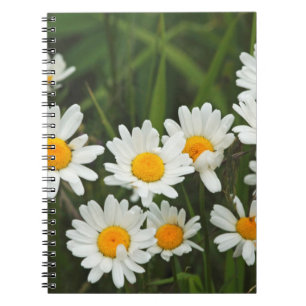 USA, Washington, Seattle, Puget Sound 3 Notizblock