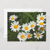 USA, Washington, Seattle, Puget Sound 3 Postkarte (Vorne/Hinten)